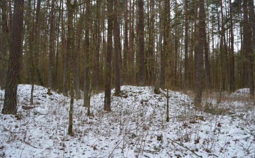 12_Purviniskiu I (Prancūzkapiai).jpg